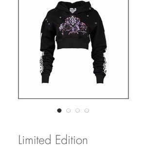 Videmus Omnia Cropped Hoodie—Limited Edition
